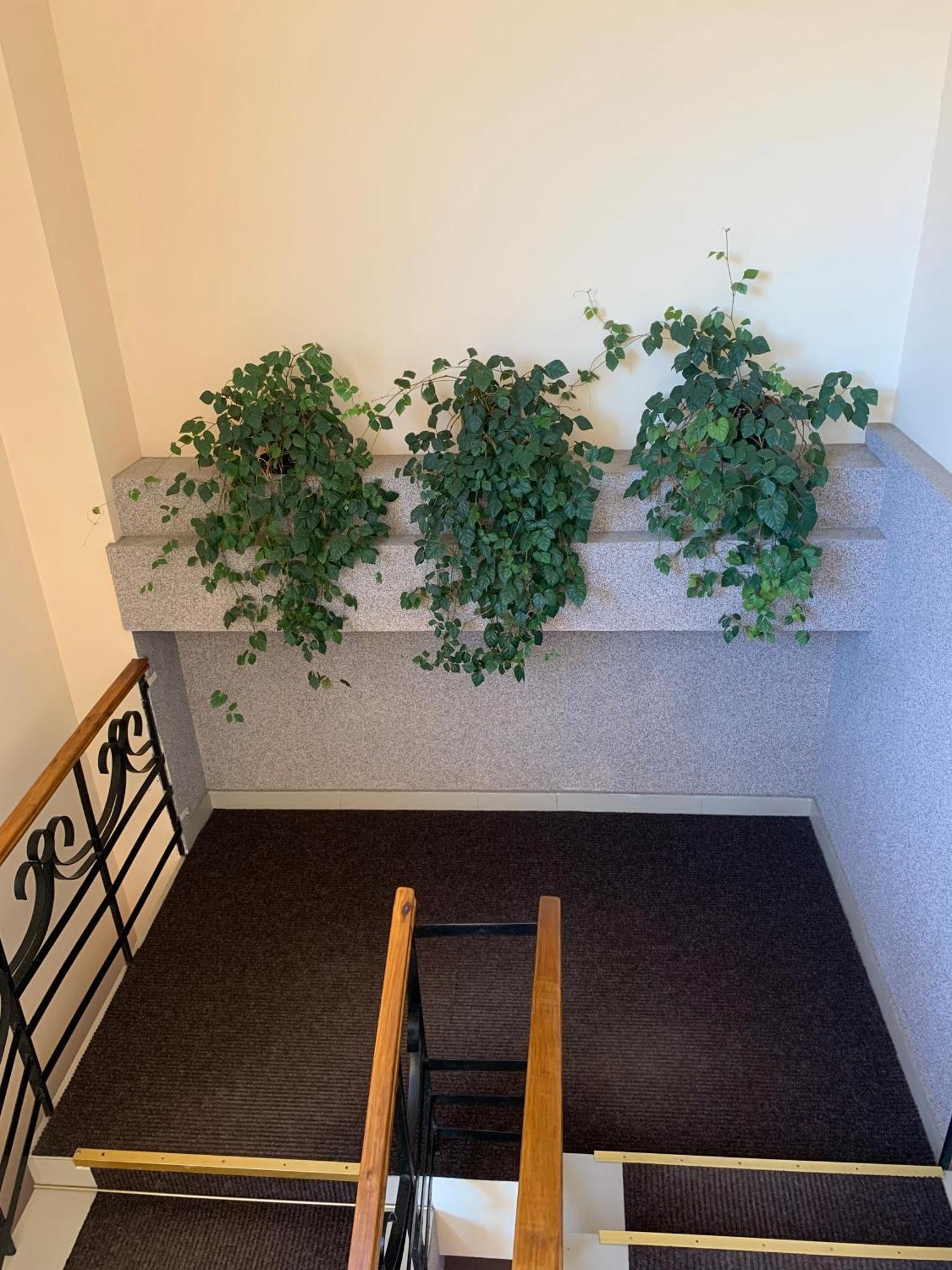 Hostel Iskra Lviv Bagian luar foto